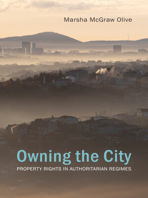 cover image of Owning the City